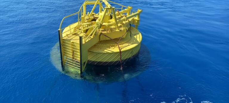 WhatsApp Image 2024-03-06 at 6.07.01 PM (3)